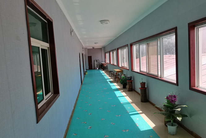 公司簡介